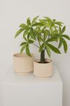 Blomsterpotte Liza Beige