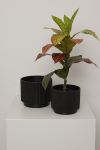 Blomsterpotte Liza Vasket sort..