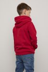 Levi´s Batwing Screenprint Hoodie unisex rød.