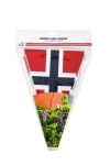 17 mai vimpelgirlander standard.