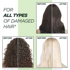 Fructis Shampoo Goodbye Damage 400ml