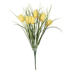 Tulipaner 