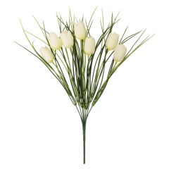 Tulipaner 