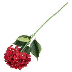Hortensia burgunder Burgunder