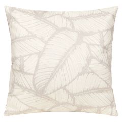 Putetrekk Tett Ficus Elastica 