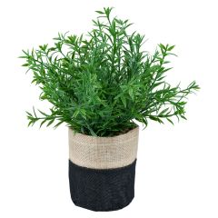 Plante i potte Kaia Original