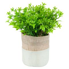 Plante i potte Dalia Original