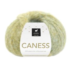 Caness 2504 Caribien Kiwi
