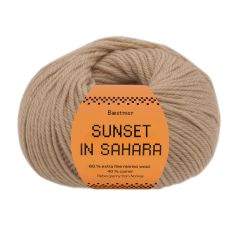 Sunset in Sahara 306 Pampas