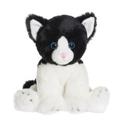 Katten Moje 