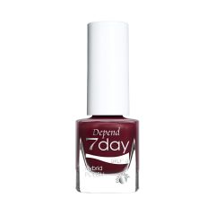 Holiday Selection 7day 2025 Hot Chilly Cocoa 70141