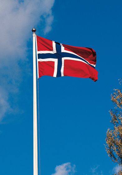 Flagg 250x185cm rødt,hvitt,blått