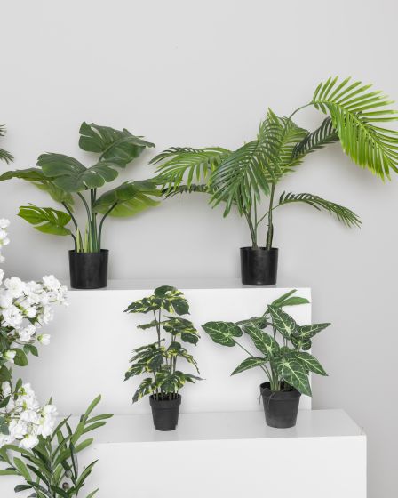 Plante grønn Angel 27cm Original