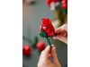 Bouquet of Roses