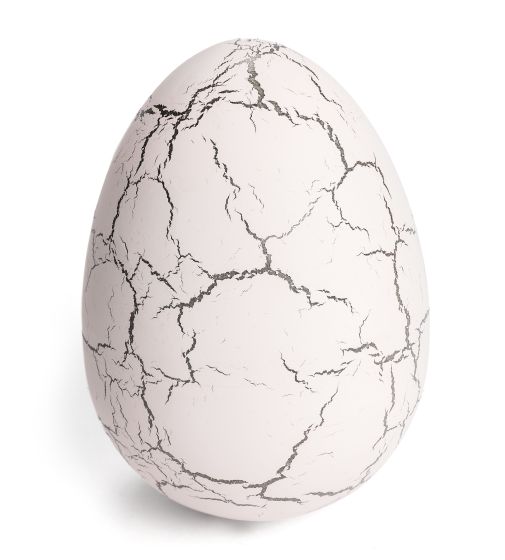Dinosauregg voksende hvit