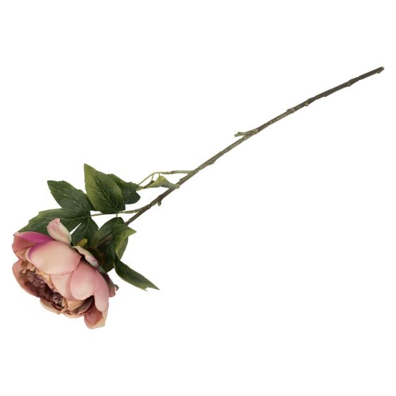 Peon blomst