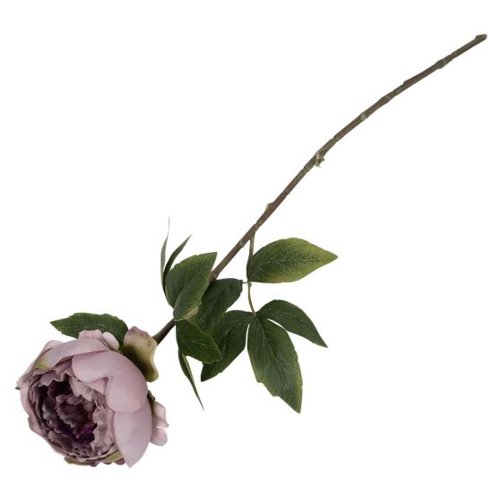 Peon blomst ..