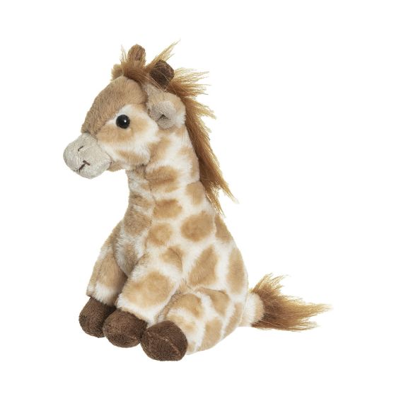 Gina Giraff