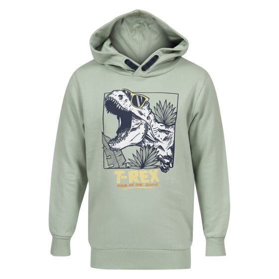 Kids Clothing Hettegenser Dinosaur mintgrønn