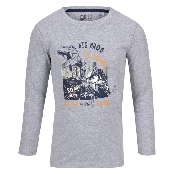 Kids Clothing Langermet dinosaur t-skjorte gråmelert