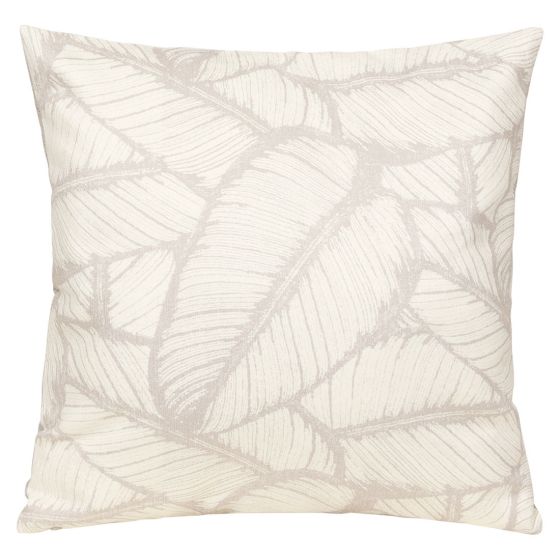 Putetrekk Tett Ficus Elastica 