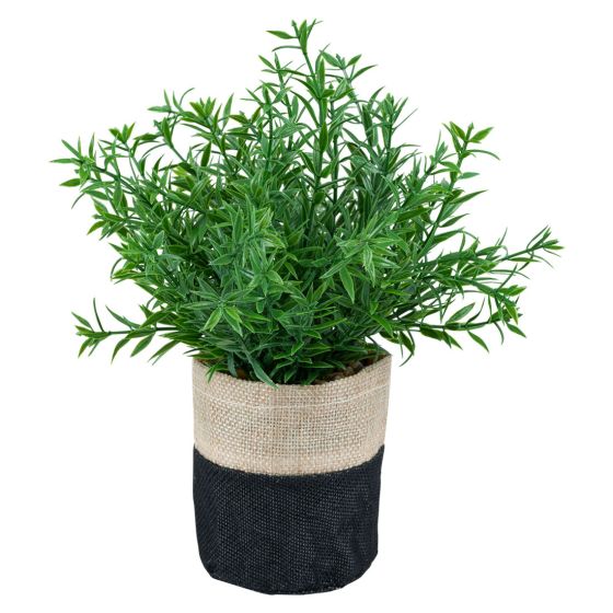Plante i potte Kaia Original
