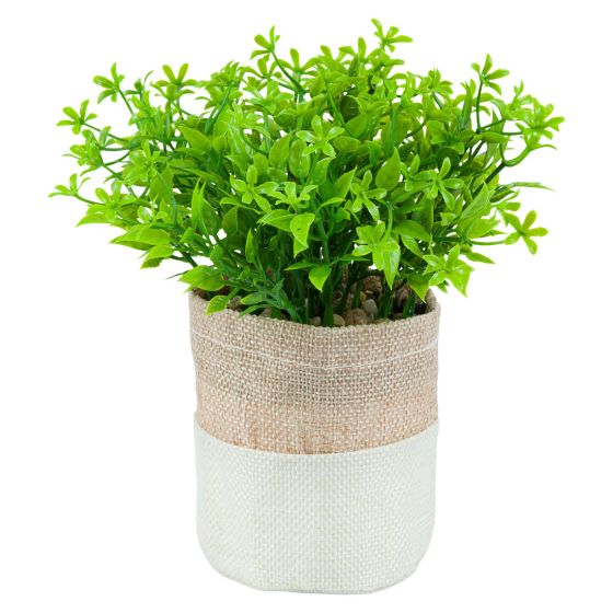Plante i potte Dalia Original