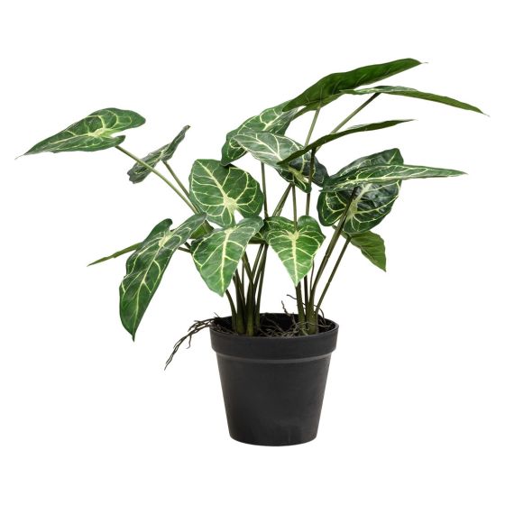 Plante grønn Angel 38cm Original