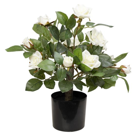 Rose i potte 40cm hvit Original