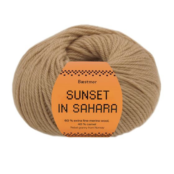 Sunset in Sahara 308 Camel