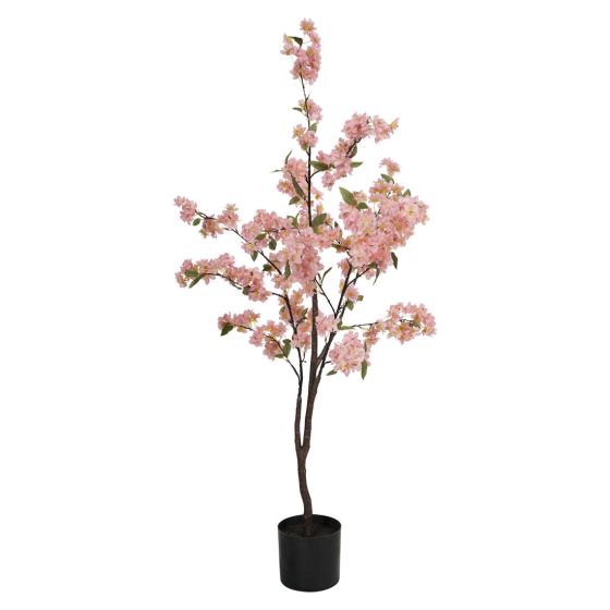 Plante Peach Blossom fersken