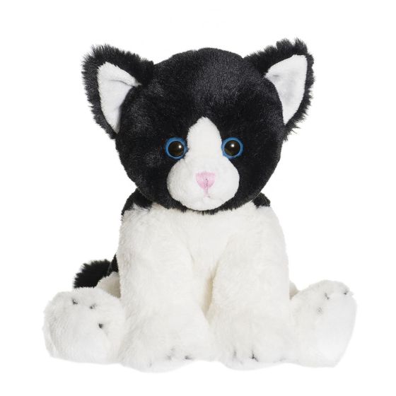 Katten Moje .