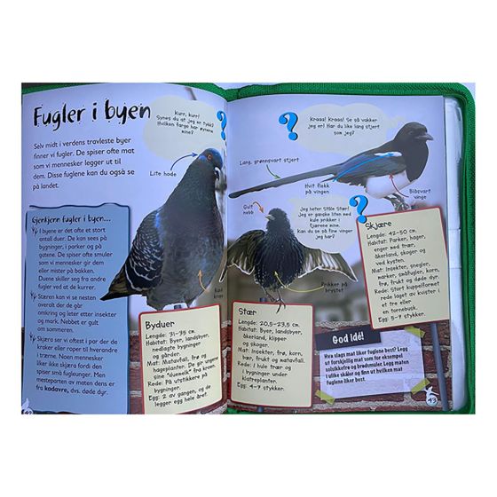 Bli en naturforsker bok Original