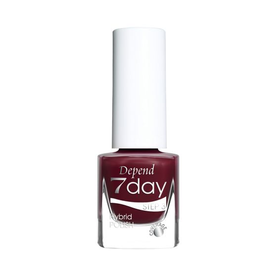 Holiday Selection 7day 2025 Hot Chilly Cocoa 70141
