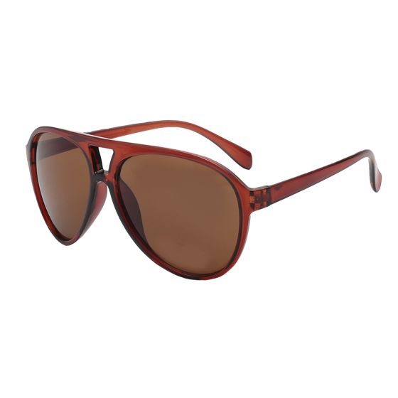 Solbrille Mann Aviator PC brun/brun