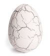 Dinosauregg voksende hvit
