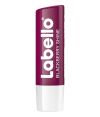Shine Lip Balm Blackberry Shine .