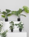 Plante grønn Angel 38cm Original