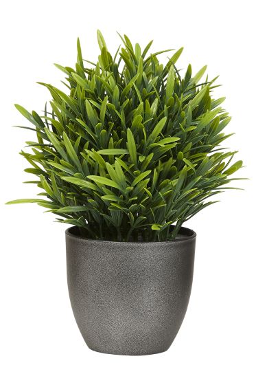 Potteplante grønn 21cm grønn