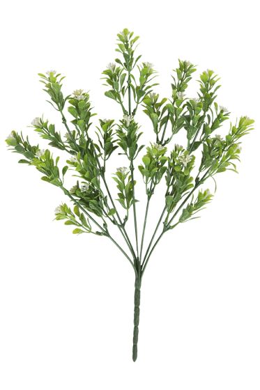 Busk hvite blomster hvit