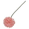 Krysantemum blomst ..