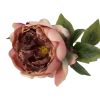 Peon blomst ..