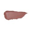 The Perfect Moisture Lipstick 