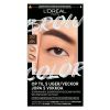 Brow Color Kit 