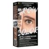 Brow Color Kit 