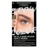 Brow Color Kit 