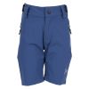 Active Sport Geiranger turshorts med stretch marine