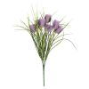 Tulipaner ..