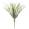 Tulipaner ..