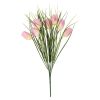 Tulipaner ..